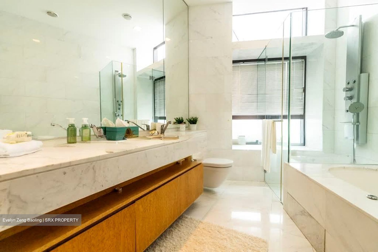 Belle Vue Residences (D9), Condominium #597662581